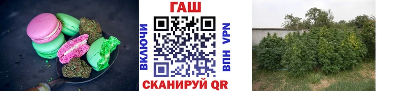 Cannafood марихуана  Купить  Кувшиново 