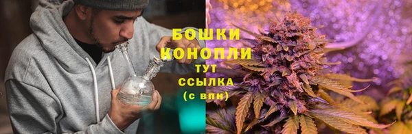 круглые Иннополис